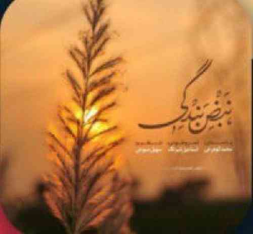 محمد کوهرخی نبض بندگی